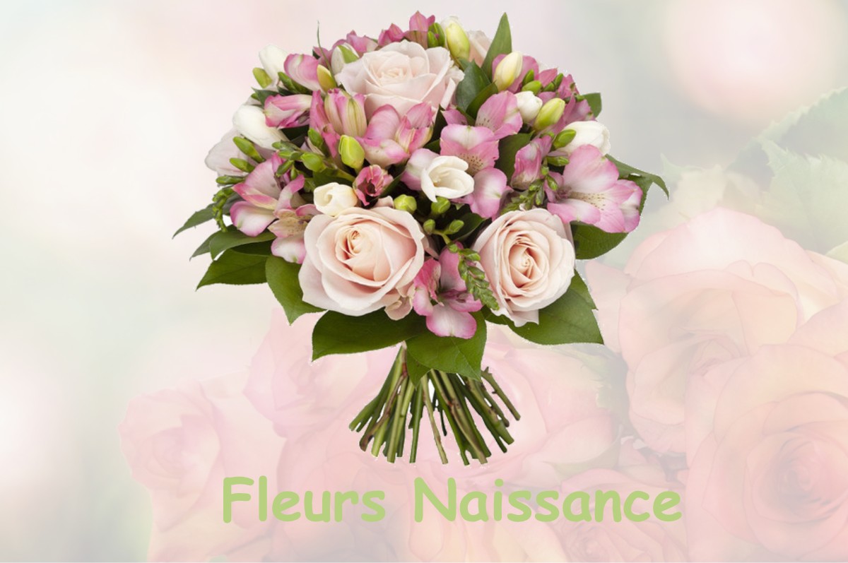 fleurs naissance SAINT-HILAIRE-DE-CHALEONS